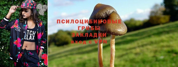 Альфа ПВП Покачи