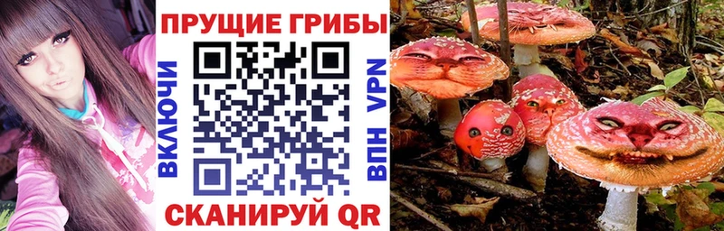 где купить наркоту  Анадырь  МЕГА tor  Псилоцибиновые грибы Psilocybine cubensis 